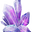 Crystals.eu logo