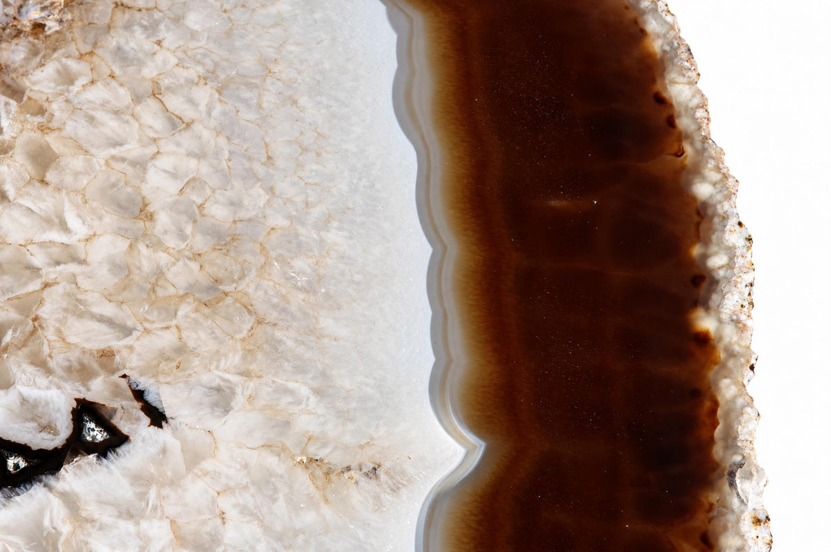 A polished agate slice shows a white, crystalline left side and a dark brown band on the right against a pale surface.