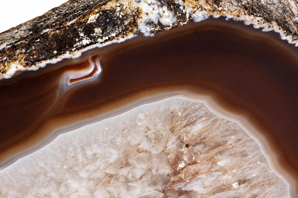 A polished agate slice shows dark brown bands and a white crystalline interior with a rough outer edge.