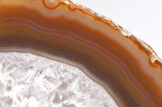 A polished slice of agate displays concentric bands of orange, brown, and white on a dark surface.