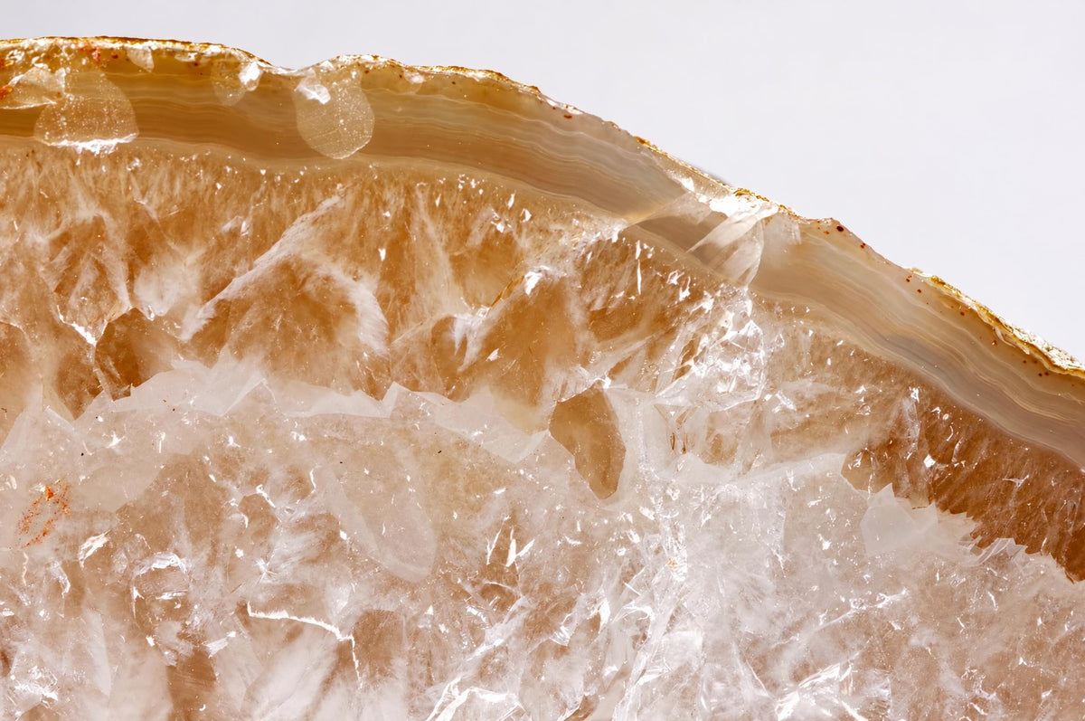 A polished slice of agate showing translucent brown and white bands with a rough, crystalline interior on a pale surface.