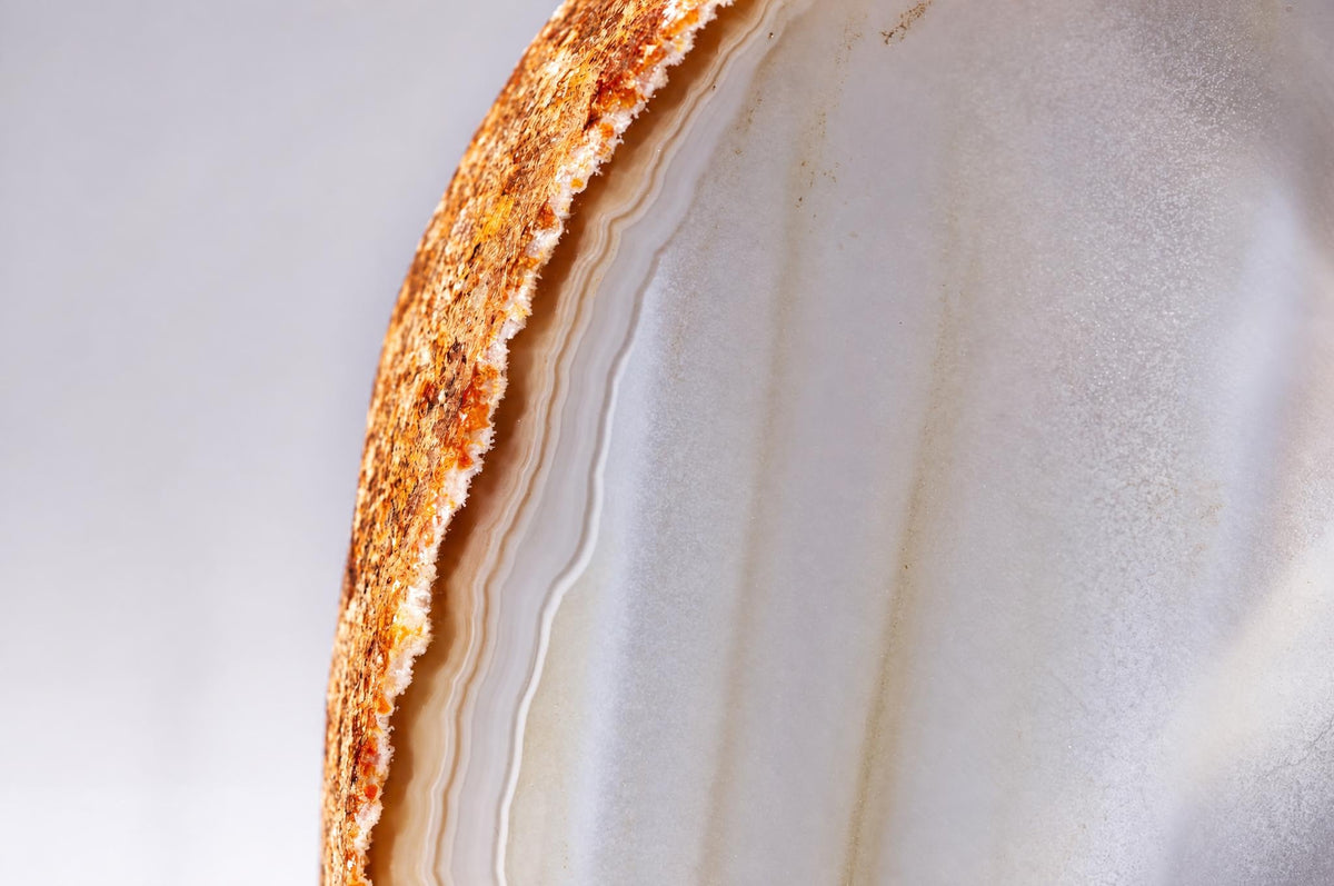 A close-up of a polished agate slice showing concentric bands of white and brown with a rough, crystalline outer edge.
