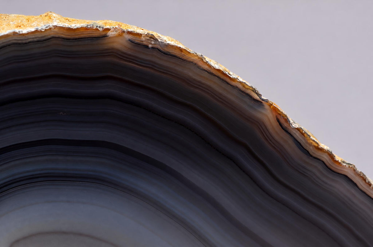 A polished slice of agate showing concentric bands of dark brown, black and grey with a rough golden-brown rim against a pale surface.