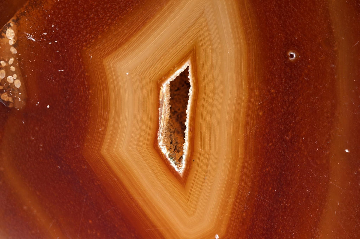 A polished agate slice shows concentric bands of dark brown and light tan, with a central cavity revealing rough crystal edges.