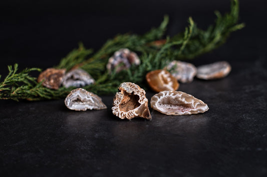 Several raw agate slices with banded interiors rest on a dark surface, accompanied by green foliage in the background.