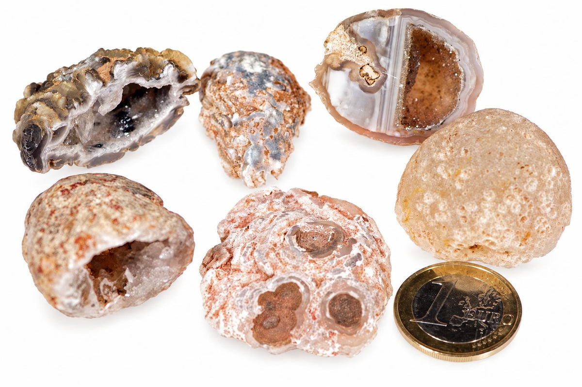 Seven raw agate specimens with varied banding and textures, including one cut slice, arranged on a white surface next to a Euro coin.