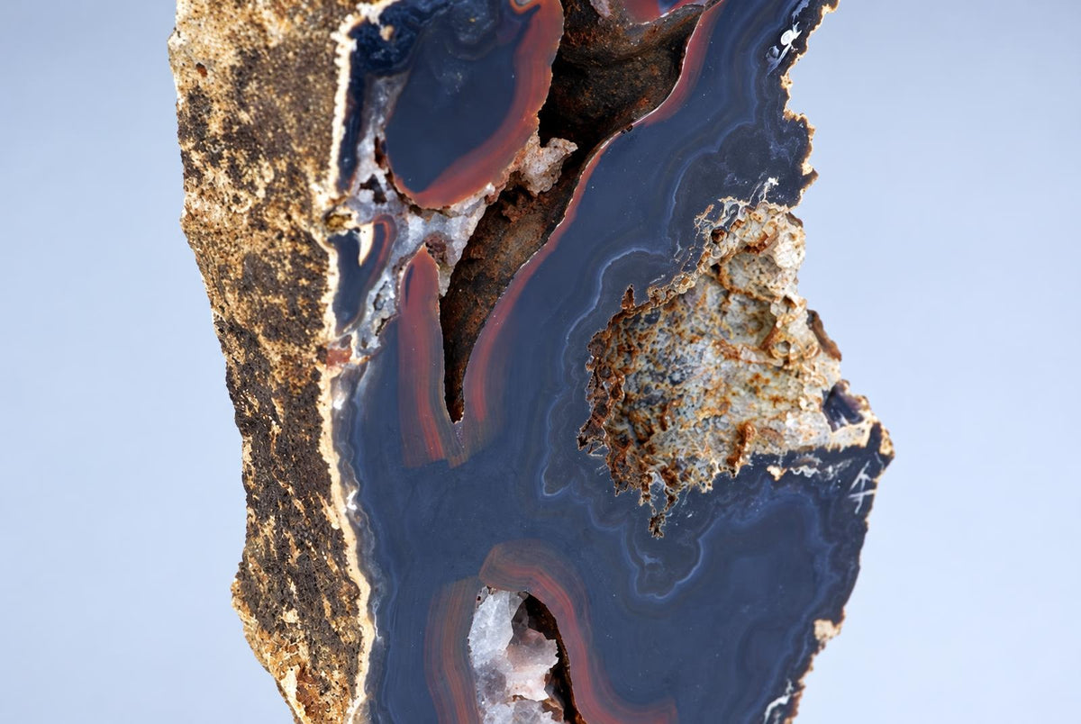 A polished agate slice displays concentric bands of dark blue, reddish-brown and white against a rough, brown rock matrix on a pale surface.