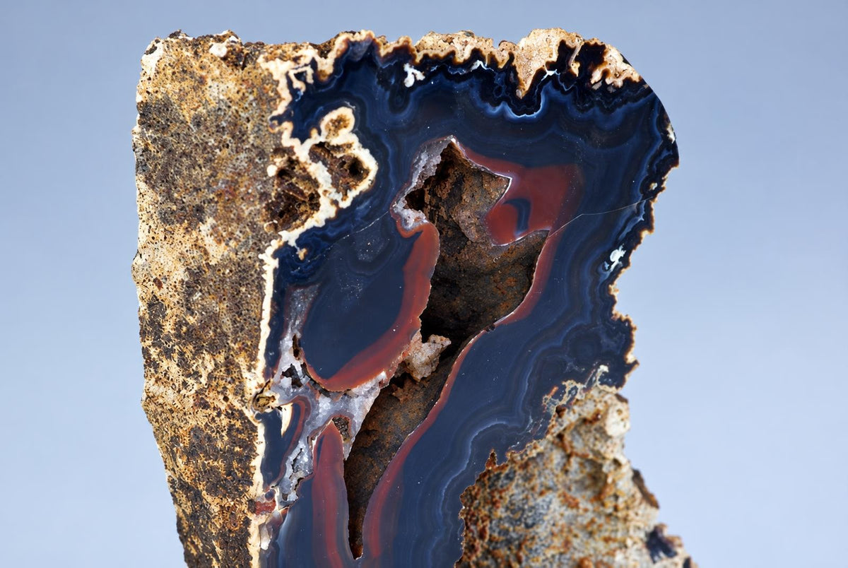 A polished agate slice shows dark blue and reddish-brown concentric bands on a rough, brownish rock surface against a pale background.