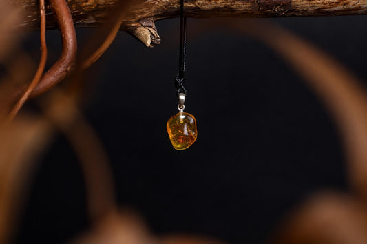 A polished amber pendant with a silver bail hangs from a black cord against a dark background, suspended near a wooden branch.