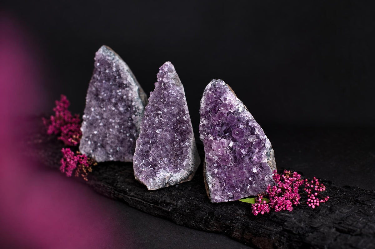 Three purple amethyst geode slices stand on a dark surface, flanked by small pink flowers against a black background.