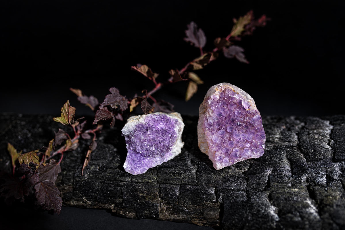 Two rough purple crystal clusters stand on a dark textured surface beside reddish foliage.