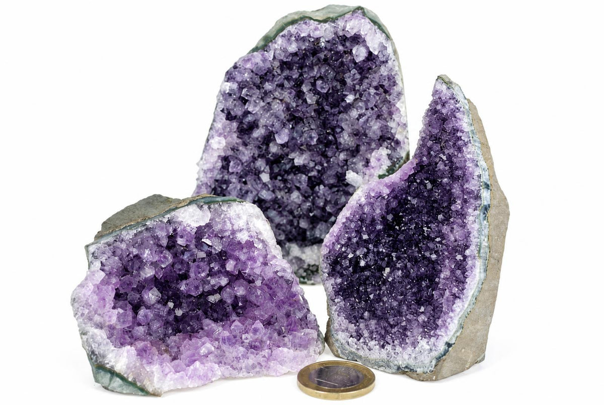 Three amethyst geode slices with purple crystals on a pale surface, next to a coin for scale.