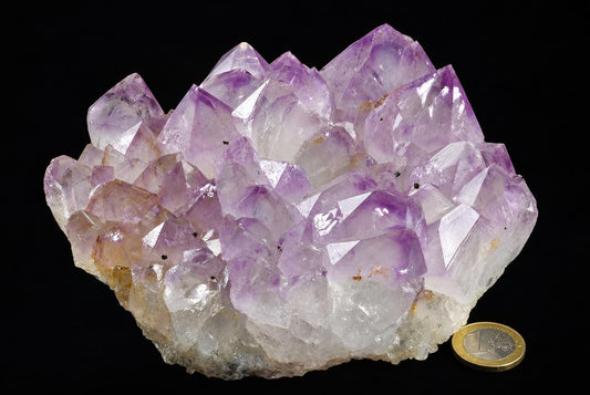 A large cluster of purple and clear amethyst crystals on a rough base, set against a black background with a coin for scale.