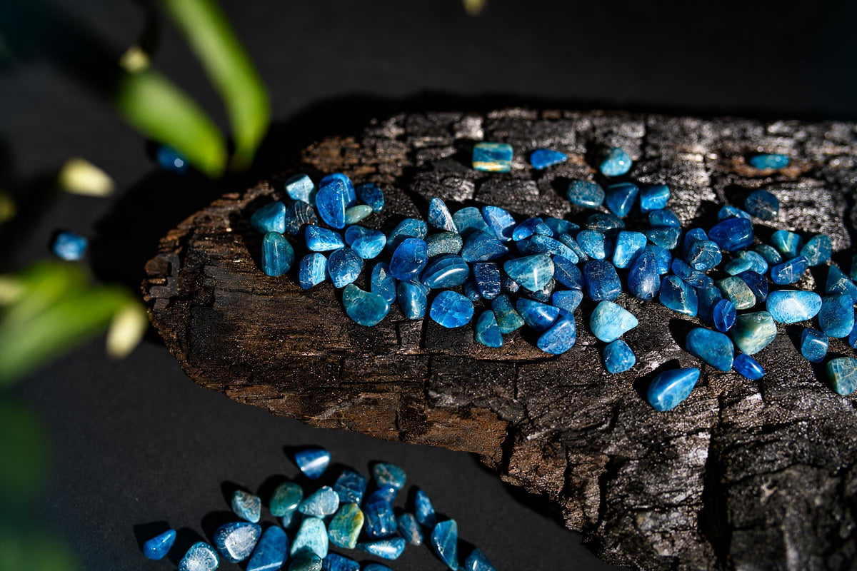 Small polished blue stones with pale streaks are scattered on a dark wooden surface beside blurred green foliage.