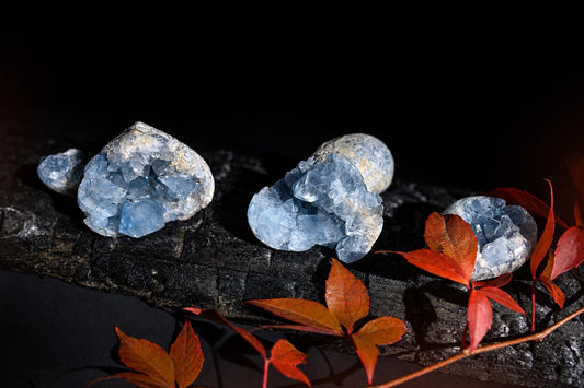 Pale blue crystal clusters with rounded grey outer shells rest on a dark surface beside red-orange leaves.