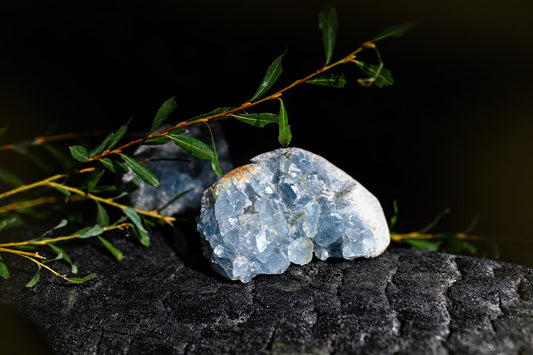 A pale blue crystal cluster in a rounded light-grey stone rests on a dark textured surface beneath green leaves.