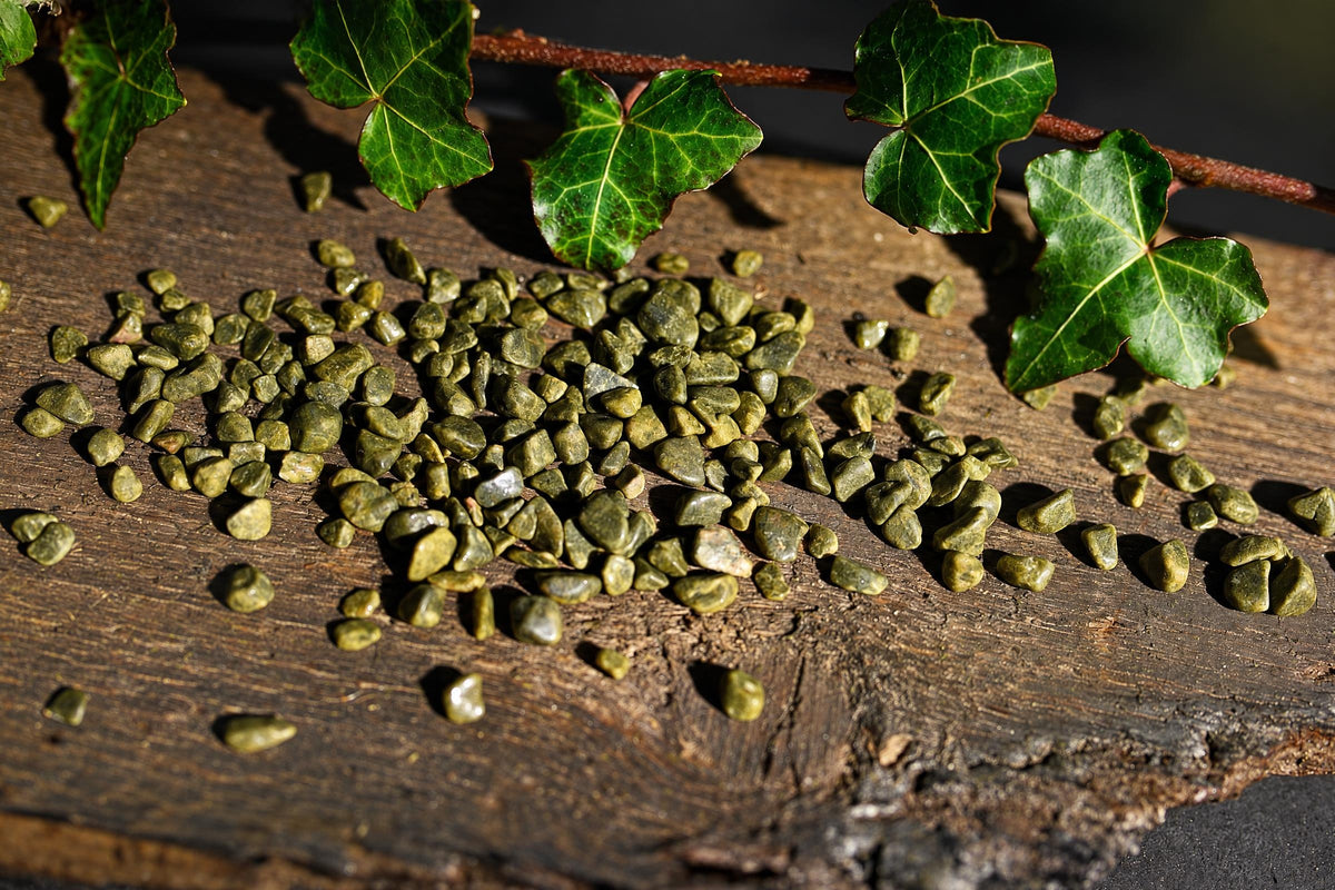 Small olive-green polished stones are scattered on a wooden surface beneath green leaves.