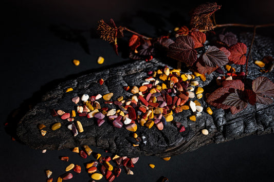 Small polished red, yellow and cream stones are scattered on a dark textured surface beside reddish leaves.