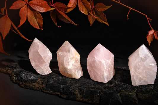 Rough pale pink crystal points stand in a row on a dark textured surface beneath red-orange leaves.