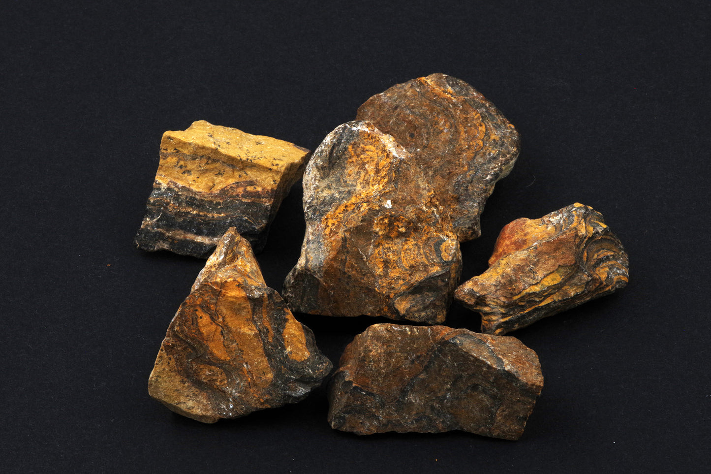 Stromatolite – Brut