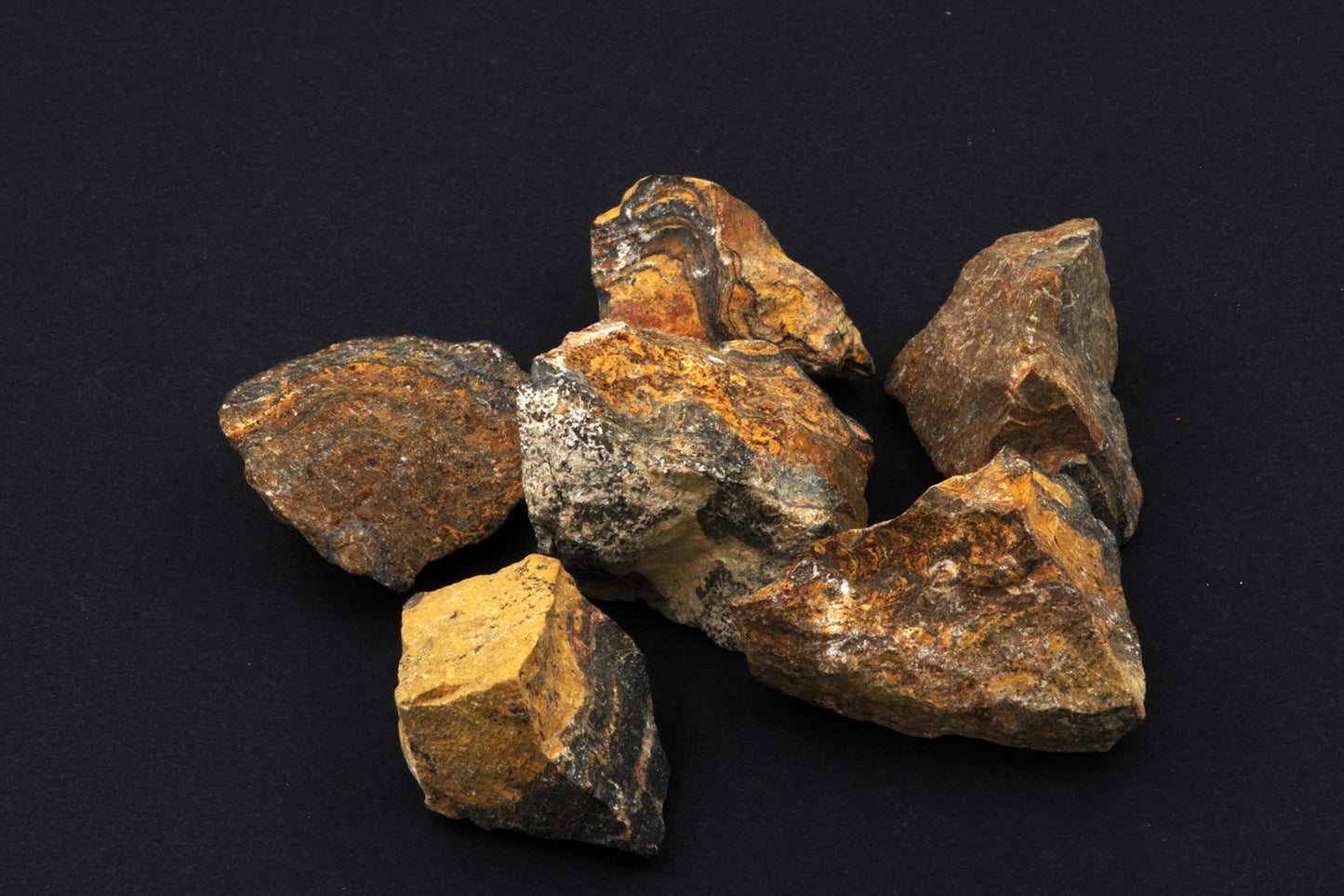 Stromatolite – Brut