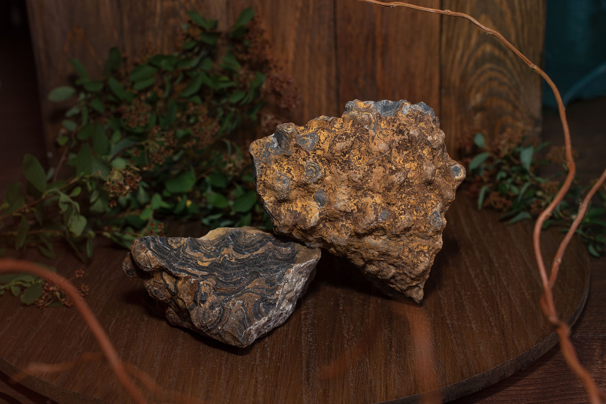 Stromatolite – Raw– 0.2 - 1 kg - www.Crystals.eu