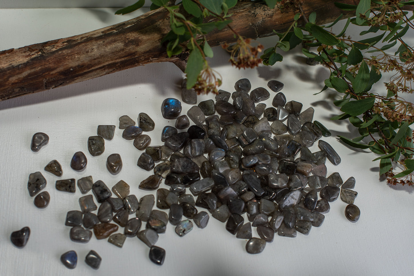 Labradorite – XS - www.Crystals.eu