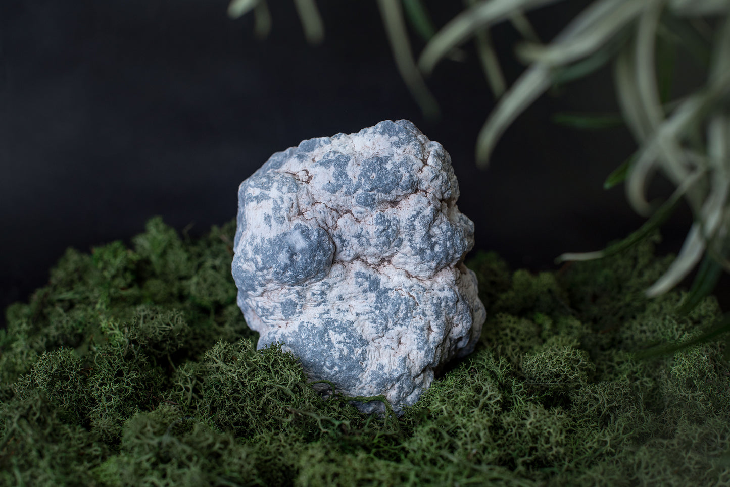 Angelite– 0.6-1.5 kg - www.Crystals.eu