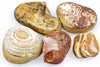 Five polished agate stones with varied banding and patterns in brown, white, cream, and red on a pale surface.