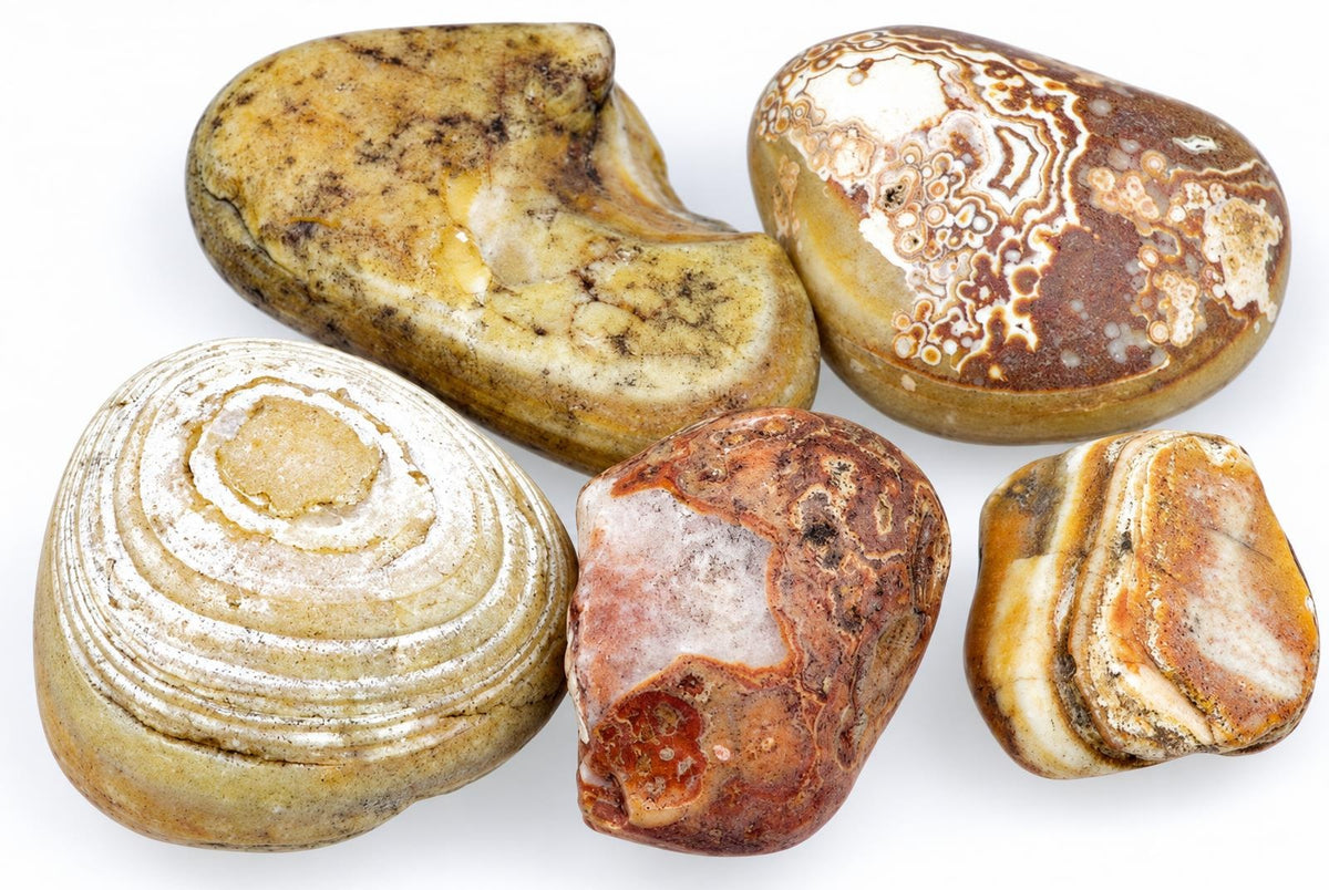 Five polished agate stones with varied banding and patterns in brown, white, cream, and red on a pale surface.