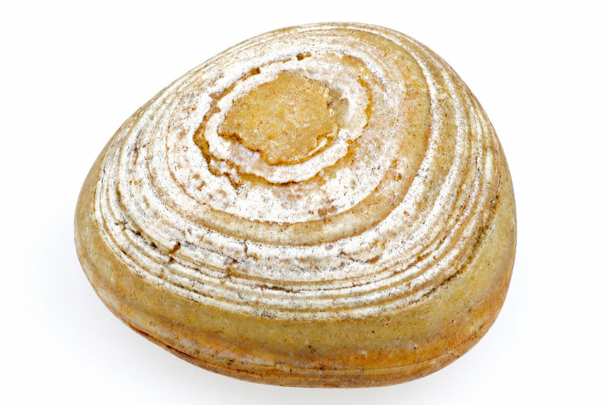 A round loaf of bread with a golden-brown crust and concentric white flour swirls on top, set against a plain white background.