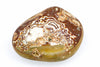 A polished agate stone with concentric bands of dark brown, white, and tan patterns on a pale surface against a white background.