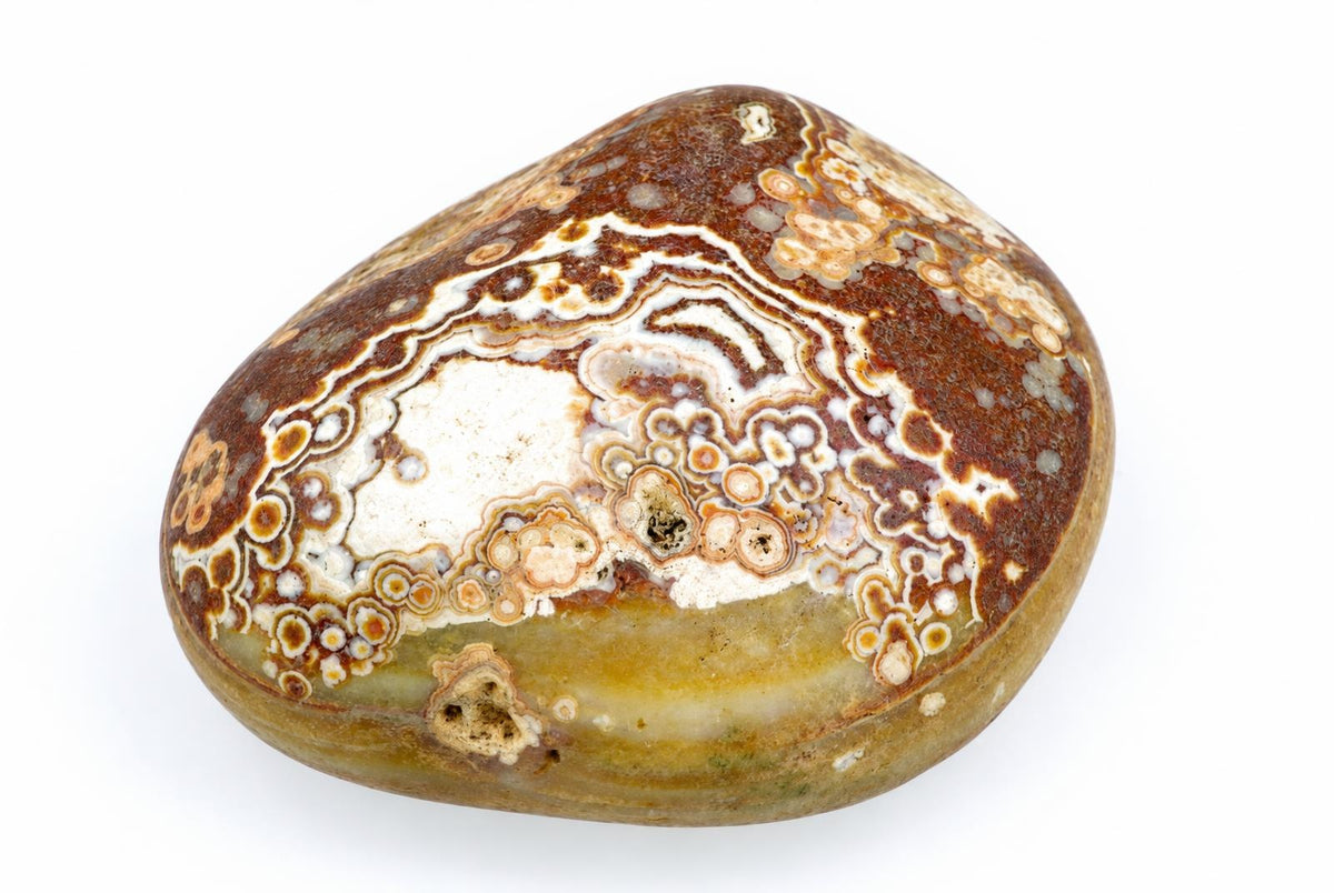 A polished agate stone with concentric bands of dark brown, white, and tan patterns on a pale surface against a white background.