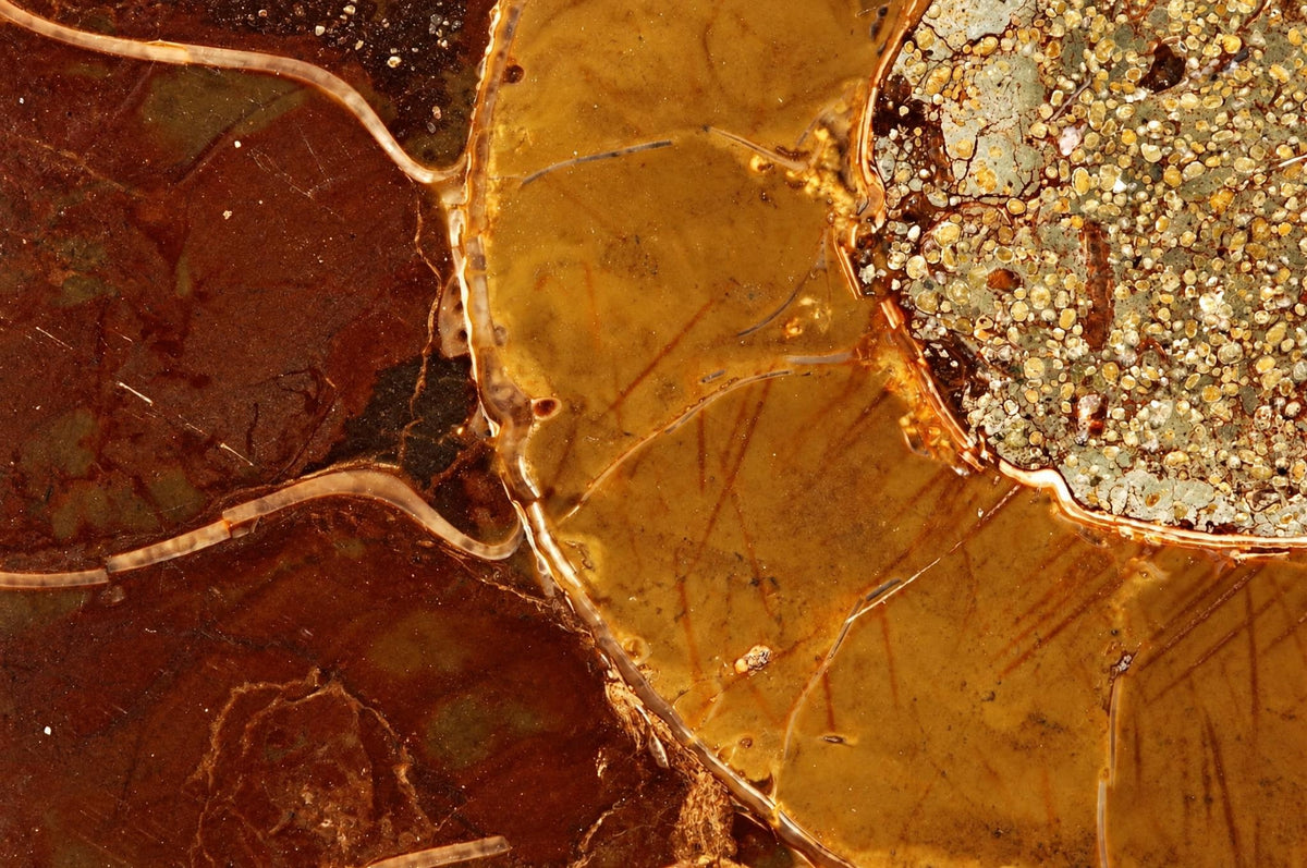 A polished stone surface with brown, yellow and speckled sections separated by thin lines.