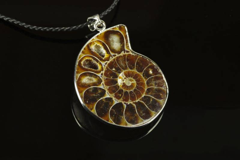 Ammonite pendant – Unique