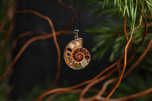 A polished ammonite pendant shows curved brown and cream chambers in a spiral, suspended among branches against a dark green background.