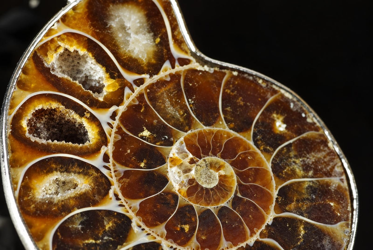 A close view of an ammonite pendant reveals brown spiral chambers with pale crystalline centres, edged by a silver toned surround.