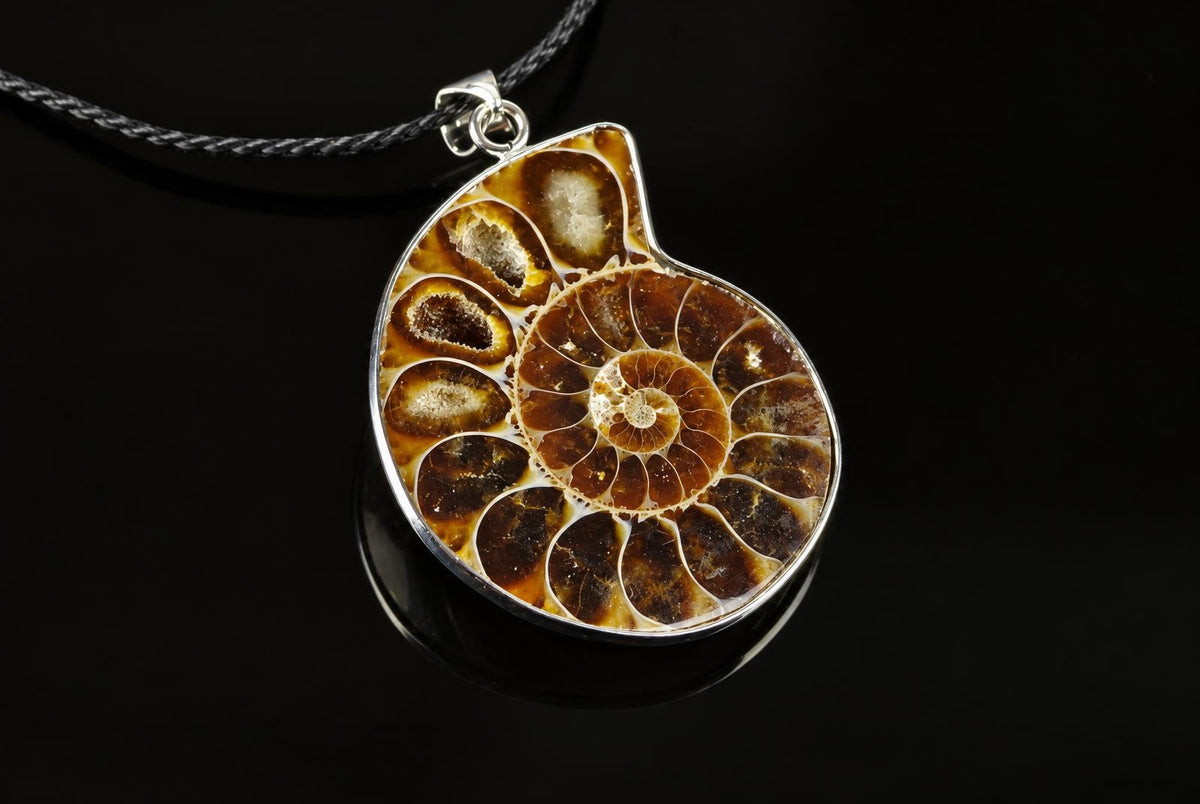 A silver-toned pendant with a spiral ammonite fossil in brown and cream tones, set on a dark surface.
