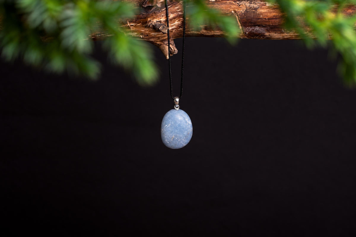 A blue oval pendant hangs from a black cord on a wooden branch against a dark background.