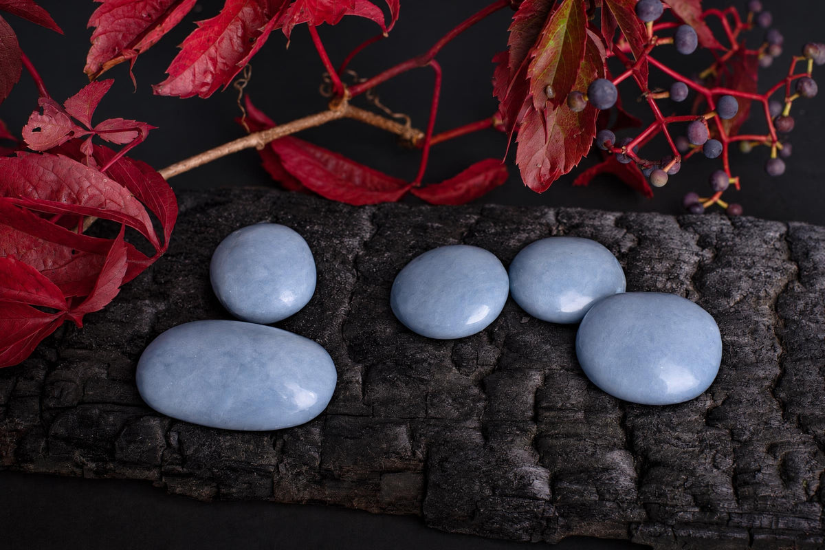 Five smooth, pale blue stones rest on a dark wooden surface beneath red leaves and small berries.