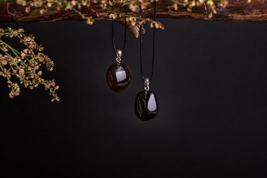 Two dark brown polished pendants on black cords hang from a wooden branch with small flowers against a dark background.