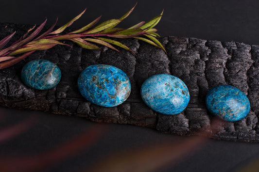 Polished rounded blue apatite stones are arranged on a dark textured surface beneath slender leaves.