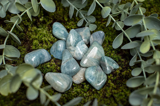 Polished pale blue-green aquamarine stones are grouped on green moss beneath leafy branches.
