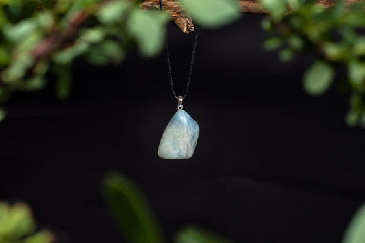 A pendant with a pale blue and white stone hangs from a black cord against a dark background, framed by green leaves.