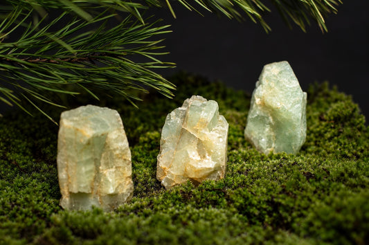 Rough pale green aquamarine crystals stand upright in green moss beneath slender leafy branches.