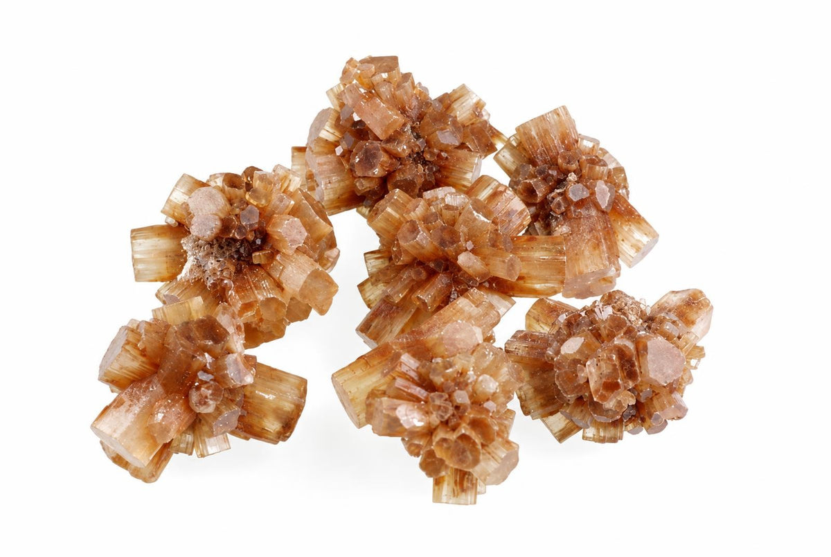 A cluster of brown and tan aragonite crystals with a white background.