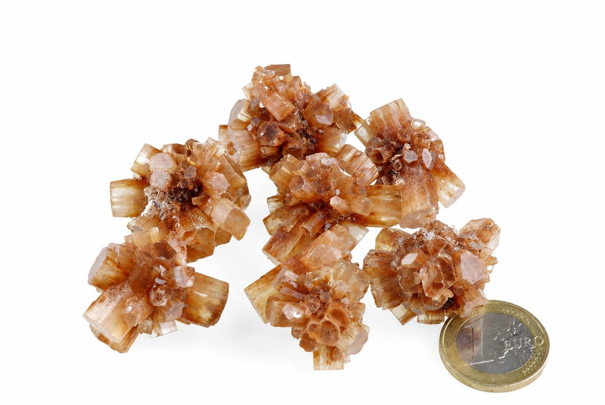 A cluster of brownish, translucent aragonite crystals with a hexagonal shape sits on a white surface next to a one-euro coin.