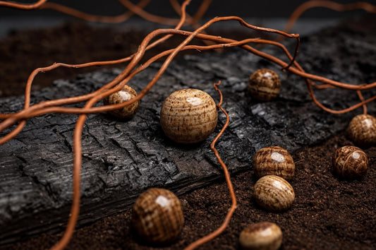 Rounded polished brown aragonite stones with fine bands rest among thin branches on a dark textured surface.