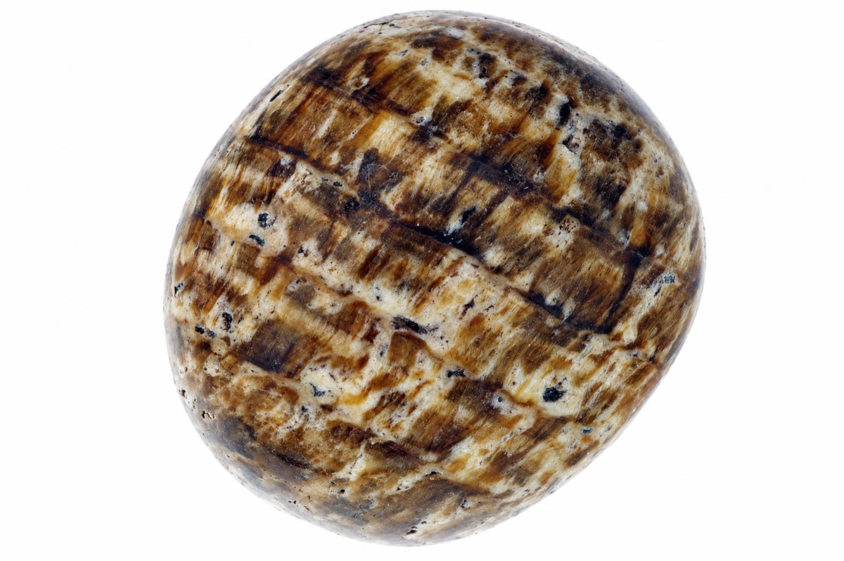 A polished, round stone with a brown and cream striped pattern on a white background.