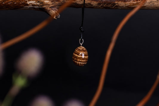 A polished, oval-shaped pendant with brown and tan stripes hangs from a black cord on a dark surface.